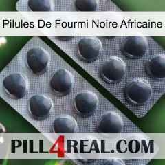 African Black Ant Pills 31